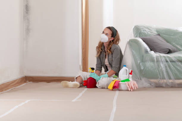 Reliable Mold Remediation contractor in Puyallup, WA by WQB Mold Removal